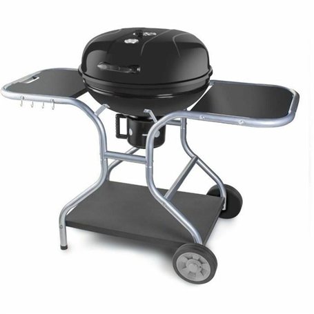 Barbecue Portable Fieldmann FZG 1014 Métal Acier