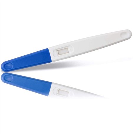 Pokémon Epée et Pokémon Bouclier : Le guide de stratégie officiel de la région de Galar