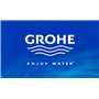 GROHE Douchette à Main Sena 28034000 (Import Allemagne)