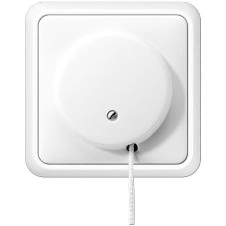 Jung 5506ZUWW Interrupteur à corde