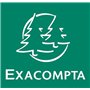Exacompta - Réf. 13236E - Étui de 100 fiches bristol quadrillées 5x5 non perforées - format 210 x 297 mm - compatibles avec impr