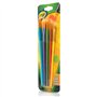 CRAYOLA Art & Craft Brushes-5/Pkg