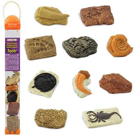 Safari - 684804 - Figurine - Tubo Fossiles