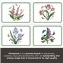 Pimpernel Botanic Garden Lot de 4 Sets de Table Grand Format