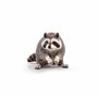 Papo - 53016 - Figurine - Animaux - Raton Laveur