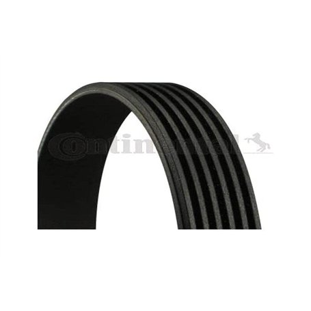 Continental Contitech 6PK780 ELAST Courroie trapézoïdale à nervures