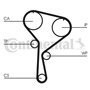 Continental Contitech CT1035 Courroie crantée
