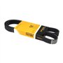 Continental Contitech 6PK1145 Courroie trapézoïdale à nervures