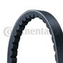 Continental Contitech AVX13X810 Courroie trapézoïdale