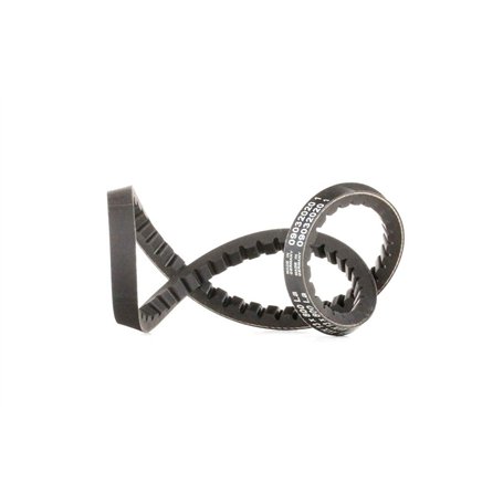 Continental Contitech AVX13X800 Courroie trapézoïdale