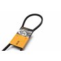 Continental Contitech AVX10X1125 Courroie trapézoïdale