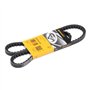 Continental Contitech AVX13X1125 Courroie trapézoïdale