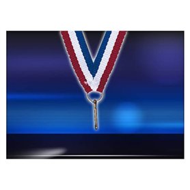 lot 10 Tour du Cou Porte médaille Recompense Ruban 10mm