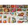 Motives 50 Divers Fleurs et Plantes Timbres (Timbres pour Les collectionneurs) Plantes/Champignons