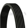CONTITECH 6PK1510 Courroie Poly-V Courroie d'accessoire Courroie trapézoïdale à nervures