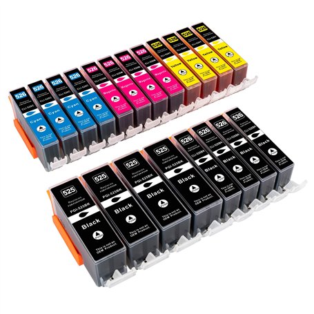 ESMOnline Lot de 20 cartouches d'encre compatibles avec puce et indication de niveau pour Canon Pixma MG5100 MG5150 MG5200 MG525