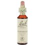 Bach - Hornbeam - Incertitude - 20 ml