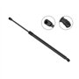 Stabilus Amortisseur de hayon 031779 LIFT-O-MAT® Vérin à gaz de coffre avec 595 Newton amortisseur e.a. pour CITROËN C4 Grand Pi