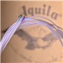 Aquila NEUF Nylgut Aq-21 Ukulélé baryton Cordes – basse Cordes d'– Lot de 4
