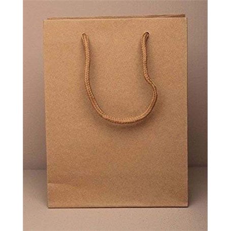 The Gift Box Lot de 12 sacs en papier naturel avec des poignées en cordon Idéal pour les cadeaux
