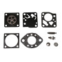 Greenstar 6624 Kit de Réparation adaptable pour Carburateur Tillotson