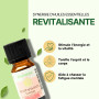 Synergie d’Huiles Essentielles Revitalisante - Mélange Huiles Essentielles 100% Pure et Naturelle - Utilisation en Diffusion pou