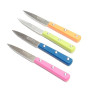 HCIA Lot de 4 Couteaux la Fourmi Manche Plastique Couleur Assortis