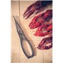 ARCOS Pinces à Fruits de Mer en Acier Inoxydable 185 Mm et Manche Ergonomique. Instrument Professionnel pour Couper Les Fruits d
