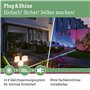 Paulmann 93934 Outdoor Plug&Shine Spot Sting LED, IP67, 520lm, 3000K, 6W, 24V, Anthracite, Alu