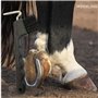 Cure-pied avec brosse très solide et poignée ergonomique Convient pour les sabots de chevaux, ânes et chèvres