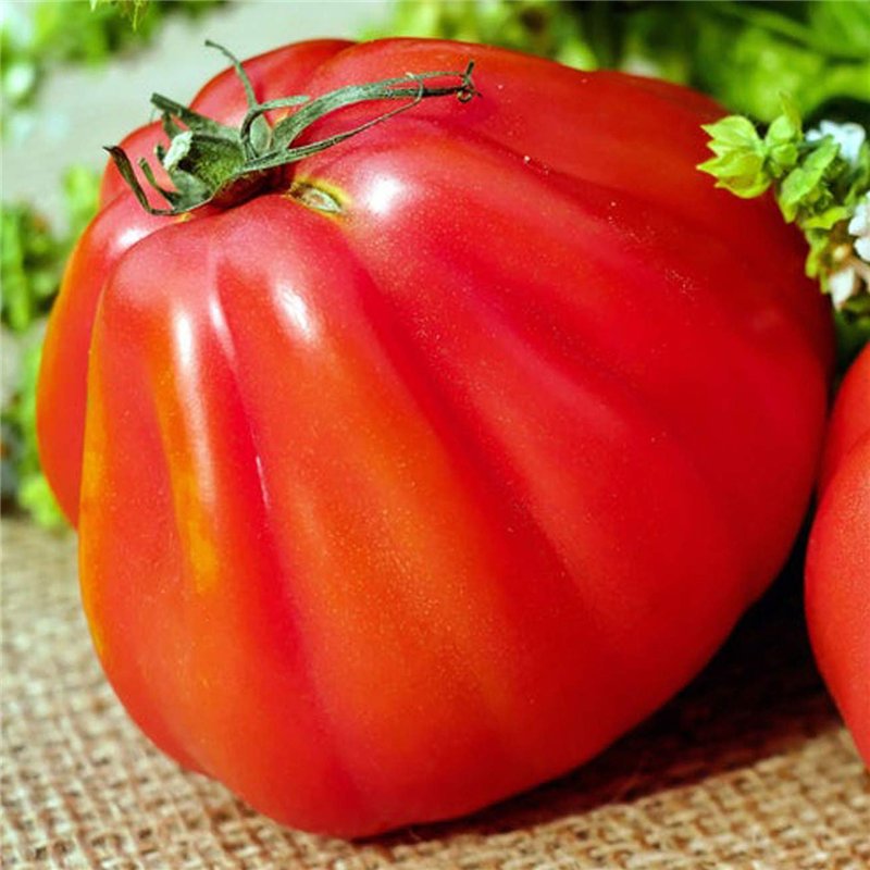 OnlyTech - Connecteur de charge pour iPhone 6 GRIS CLAIR - Nappe interne comprenant le connecteur de charge