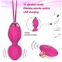 Boules de Geisha 2 en 1 Balles de poids et massage Kegel - Balles en silicone Kegel pour débutants et avancés pour les exercices