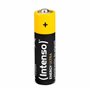 Intenso Energy Ultra Lot de 24 Piles alcalines AA Mignon LR6