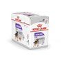 Royal Canin Mousse stérilisée | 12 x 85 g | Aliment Complet pour Chiens Adultes et stérilisés à partir de 10 Mois | Protéines di