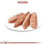 Royal Canin Mousse stérilisée | 12 x 85 g | Aliment Complet pour Chiens Adultes et stérilisés à partir de 10 Mois | Protéines di