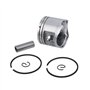 Ensemble de Piston 42mm avec Segments, Axe et Circlips pour Stihl FR450 FS450 SP450 SP451 Débroussailleuse