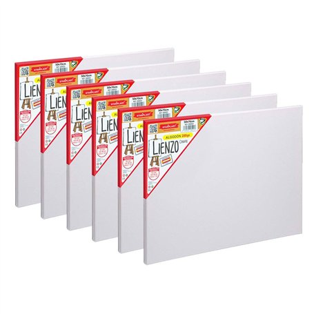 SET 6 TOILE PRE-ETENDUE STARPLAST - Toile à peindre