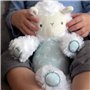 Ingenuity, Peluche Ultra Douce Sheepy Le Mouton Dès la Naissance