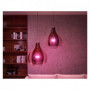 Kit démarrage ampoule LED connectée PHILIPS Hue White - 10.5W - Lot 2 E27 - Télé 119,99 €