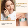 AOOSU Montre Femme, Lumineux Montre à Quartz Analogique pour Femme, Montres à la Mode Femmes Montres élégante avec Bracelet en C