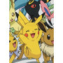 Couverture Sherpa - POKEMON - Evolutions - 100 x 150 cm