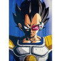 Coussin double face - Carré - DRAGON BALL Z - Goku et Vegeta - Microfibre - 40 x 40 cm