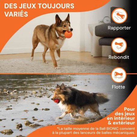Jouet pour chien - BIONIC - Balle - Taille Medium 6,7 cm - Caoutchouc ultra résistant - sans plomb, BPA ni phtalates