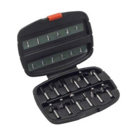 Bosch Accessories 12 pieces Ensemble de fraises au carbure (pour le bois, emmanchement Ø 8 mm, accessoires défonceuse) Bosch Accessories 12 pieces Ensemble de fraises au carbure (pour le bois, emmanchement Ø 8 mm, accessoires défonceuse)