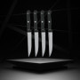 Lot de 4 couteaux a steak - NIROSTA - 21 cm