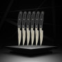 Lot de 6 couteaux a steak - NIROSTA- 22 cm