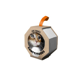 Ephéméride - Une année chattitudes Ephéméride - Une année chattitudes