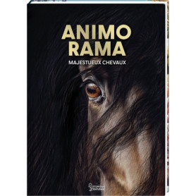 ANIMO RAMA Majestueux chevaux ANIMO RAMA Majestueux chevaux