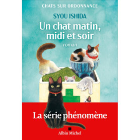 Un chat matin, midi et soir Un chat matin, midi et soir