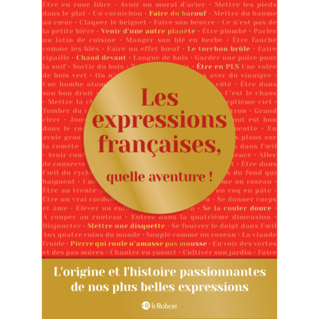 Les expressions françaises, quelle aventure !